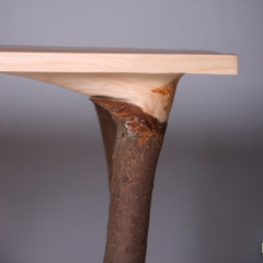 'Fragments of Nature' Table (detail) by Lex Pott